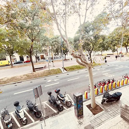 Apartamentos Tarradellas Sants Estacio Apartment Barcelona